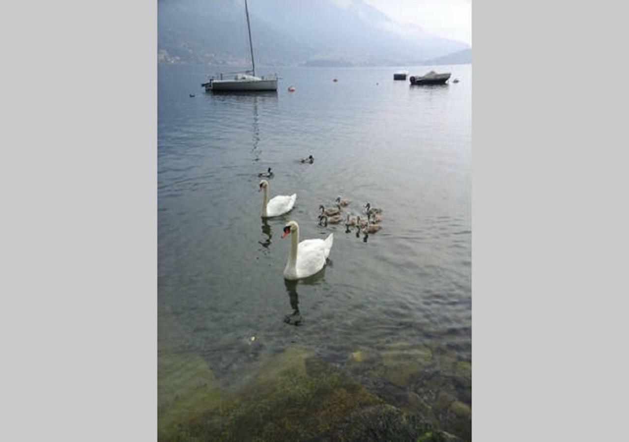 Appartamento Vista Lago - Mary レッツェノ エクステリア 写真